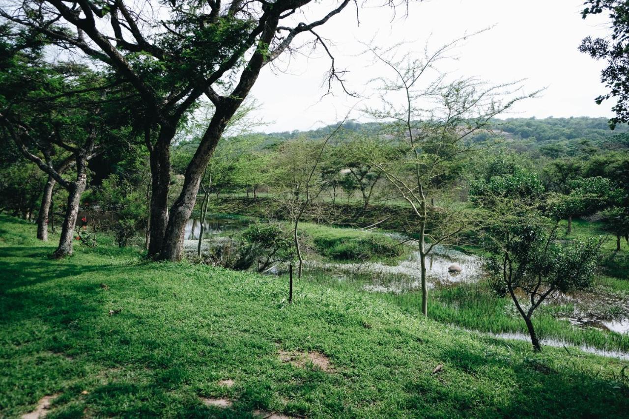 Rockview Lodge Mbombela Exterior foto